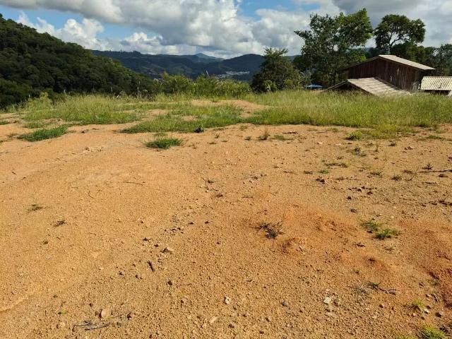 Terreno / Lote para Venda em Palhoça/SC Alto Aririu