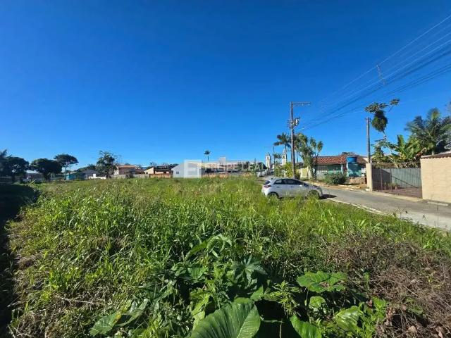 Terreno / Lote para Venda em Palhoça/SC Aririú da Formiga