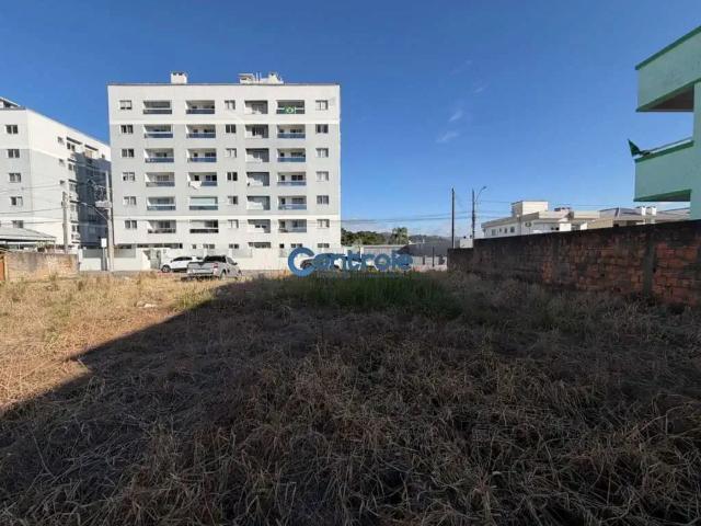 Terreno / Lote para Venda em Palhoça/SC Aririu