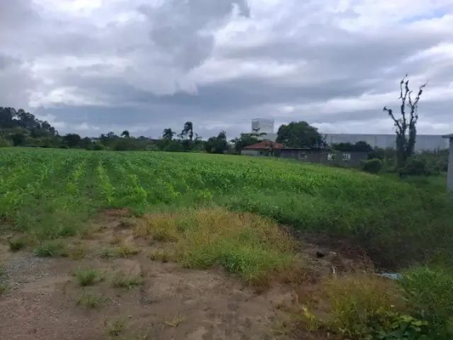 Terreno / Lote para Venda em Palhoça/SC Aririu