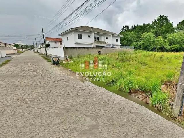 Terreno / Lote para Venda em Palhoça/SC Aririu