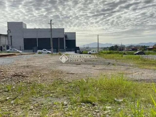 Terreno / Lote para Venda em Palhoça/SC Aririu