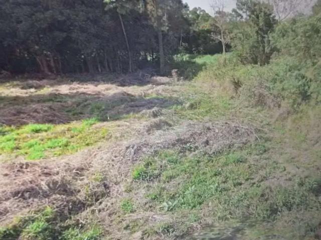 Terreno / Lote para Venda em Palhoça/SC Aririu