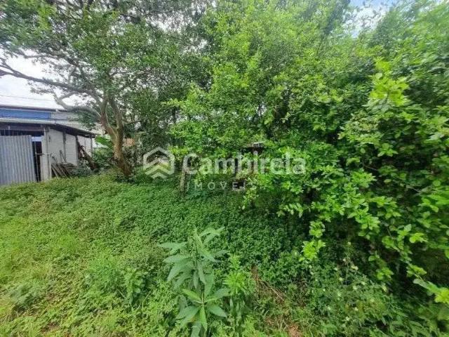 Terreno / Lote para Venda em Palhoça/SC Barra do Aririú