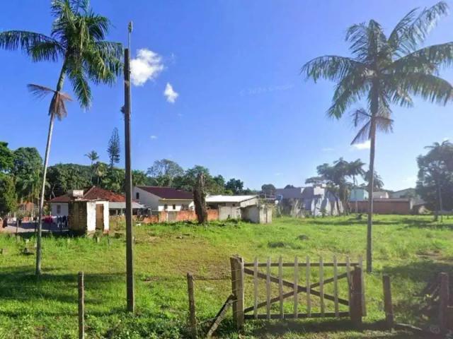 Terreno / Lote para Venda em Palhoça/SC Guarda do Cubatão