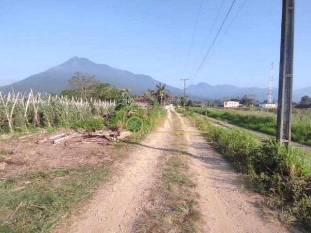 Terreno / Lote para Venda em Palhoça/SC Guarda do Cubatão