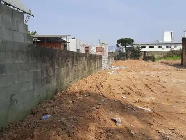 Terreno / Lote para Venda em Palhoça/SC Jardim Eldorado