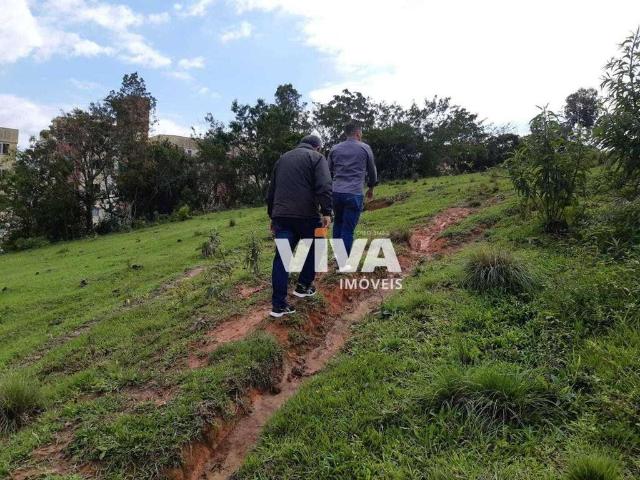 Terreno / Lote para Venda em Palhoça/SC Madri