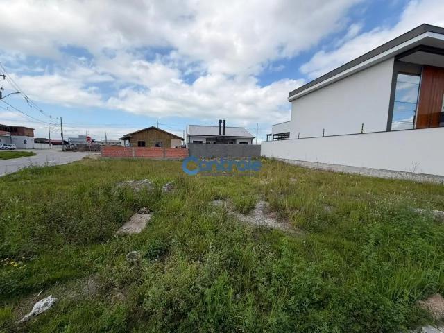 Terreno / Lote para Venda em Palhoça/SC Nova Palhoça