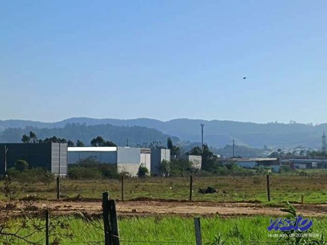 Terreno / Lote para Venda em Palhoça/SC Nova Palhoça