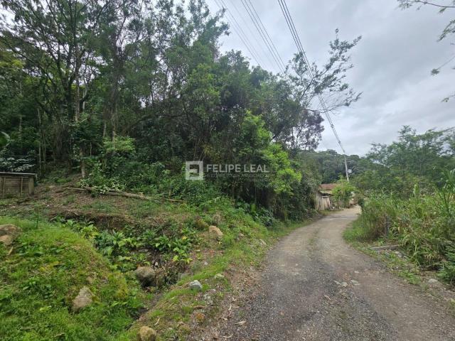 Terreno / Lote para Venda em Palhoça/SC São Sebastião