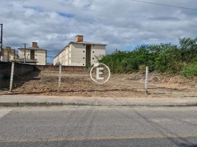 Terreno / Lote para Venda em Palhoça/SC Pachecos