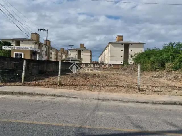 Terreno / Lote para Venda em Palhoça/SC Pachecos