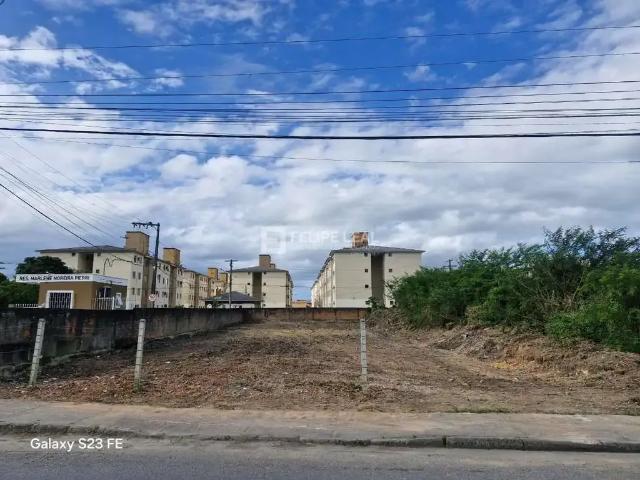 Terreno / Lote para Venda em Palhoça/SC Pachecos