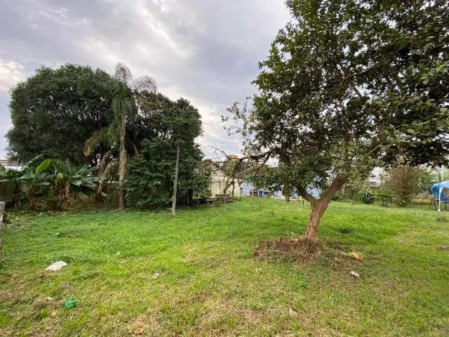 Terreno / Lote para Venda em Palhoça/SC Pachecos