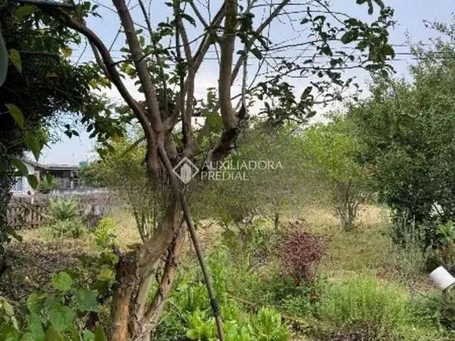 Terreno / Lote para Venda em Palhoça/SC Passagem de Maciambú Ens Brito