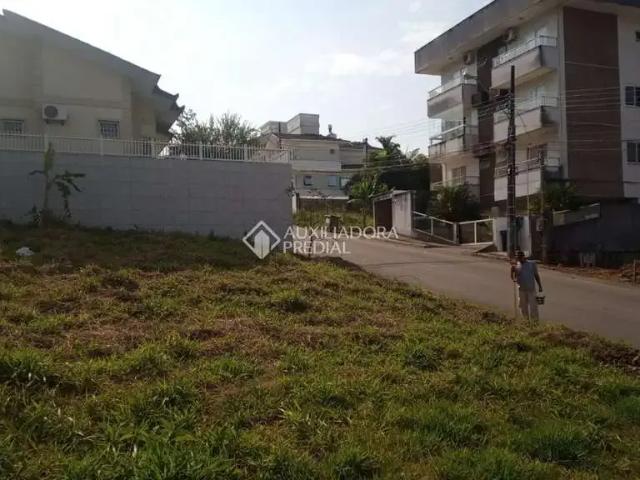 Terreno / Lote para Venda em Palhoça/SC Pedra Branca 1 Quartos