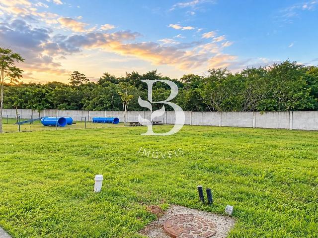 Terreno / Lote para Venda em Palhoça/SC Pedra Branca