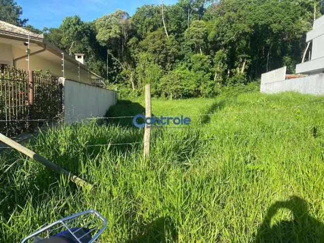 Terreno / Lote para Venda em Palhoça/SC Pedra Branca