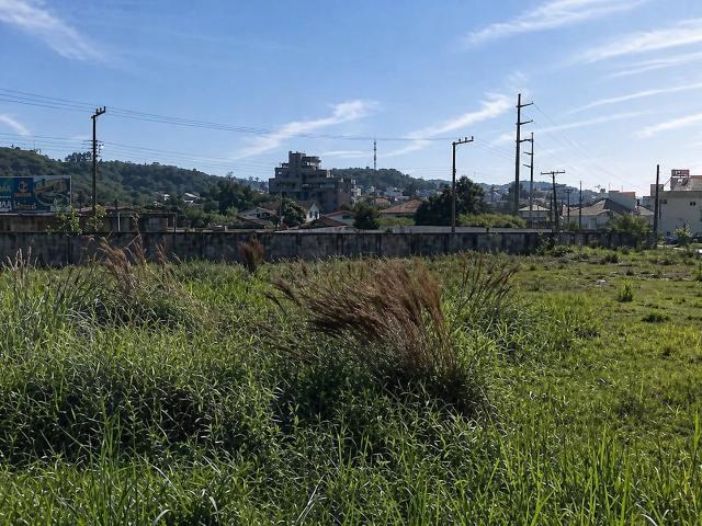 Terreno / Lote para Venda em Palhoça/SC Pedra Branca