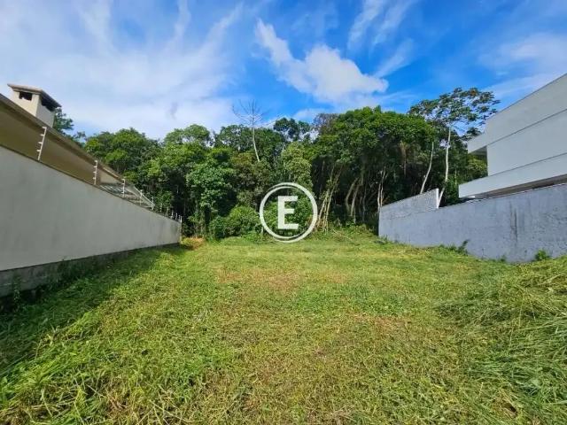 Terreno / Lote para Venda em Palhoça/SC Pedra Branca