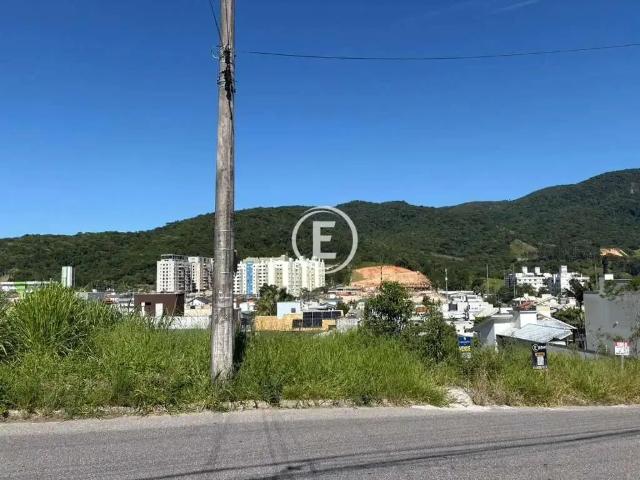 Terreno / Lote para Venda em Palhoça/SC Pedra Branca