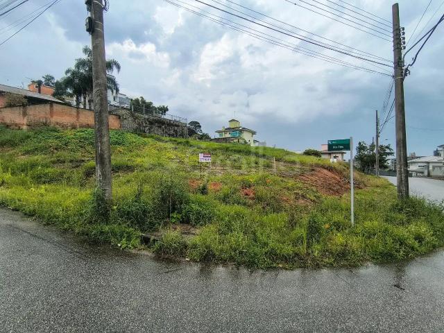 Terreno / Lote para Venda em Palhoça/SC Pedra Branca