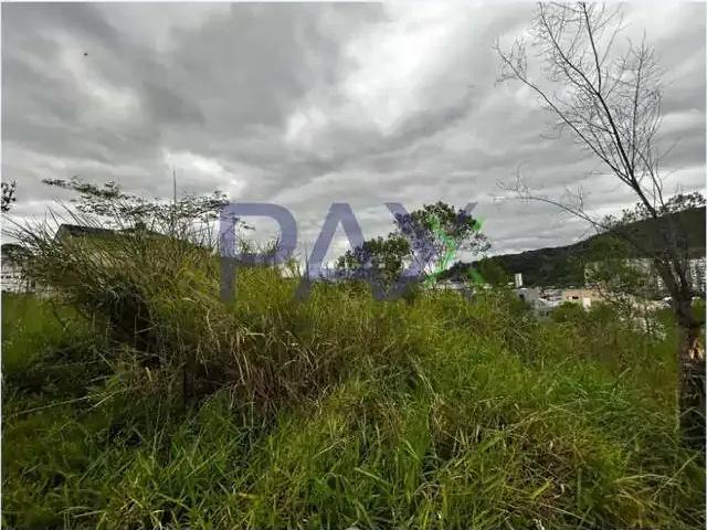 Terreno / Lote para Venda em Palhoça/SC Pedra Branca