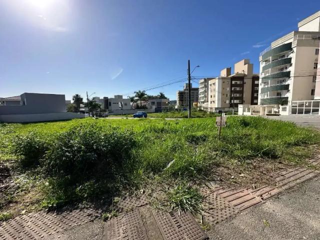 Terreno / Lote para Venda em Palhoça/SC Pedra Branca