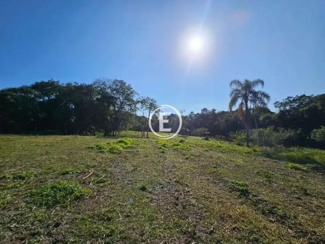 Terreno / Lote para Venda em Palhoça/SC Pedra Branca