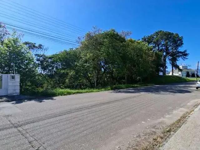 Terreno / Lote para Venda em Palhoça/SC Pedra Branca