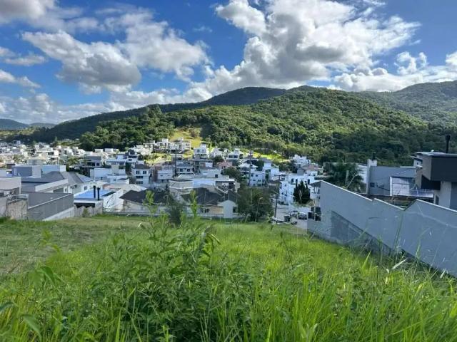 Terreno / Lote para Venda em Palhoça/SC Pedra Branca