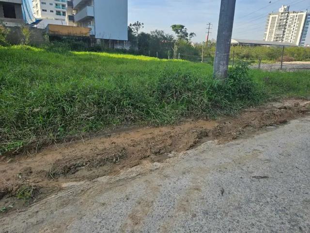 Terreno / Lote para Venda em Palhoça/SC Pedra Branca