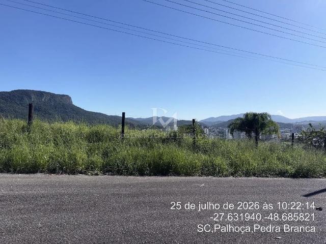 Terreno / Lote para Venda em Palhoça/SC Pedra Branca
