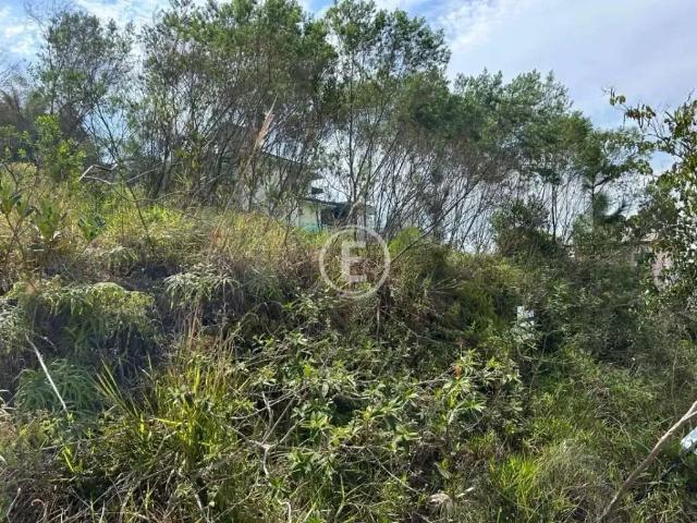 Terreno / Lote para Venda em Palhoça/SC Pedra Branca