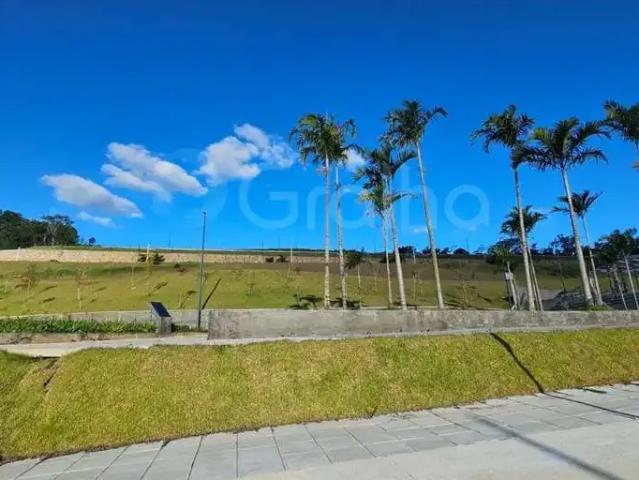 Terreno / Lote para Venda em Palhoça/SC Pedra Branca