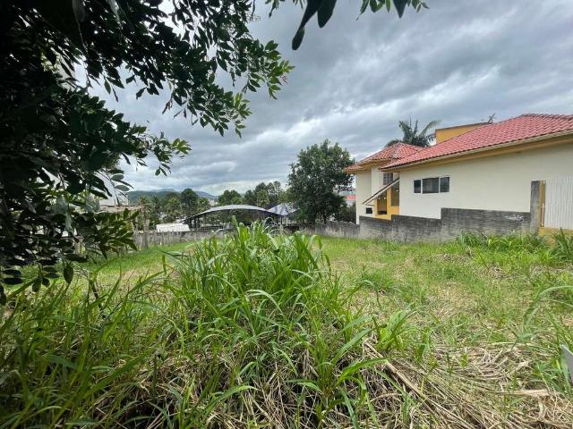 Terreno / Lote para Venda em Palhoça/SC Pedra Branca