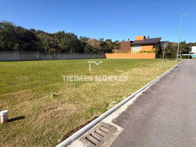 Terreno / Lote para Venda em Palhoça/SC Pedra Branca
