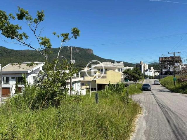 Terreno / Lote para Venda em Palhoça/SC Pedra Branca
