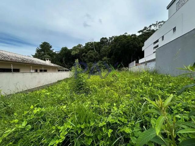 Terreno / Lote para Venda em Palhoça/SC Pedra Branca