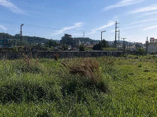 Terreno / Lote para Venda em Palhoça/SC Pedra Branca
