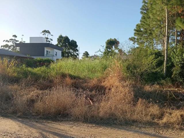 Terreno / Lote para Venda em Palhoça/SC Praia do Sonho