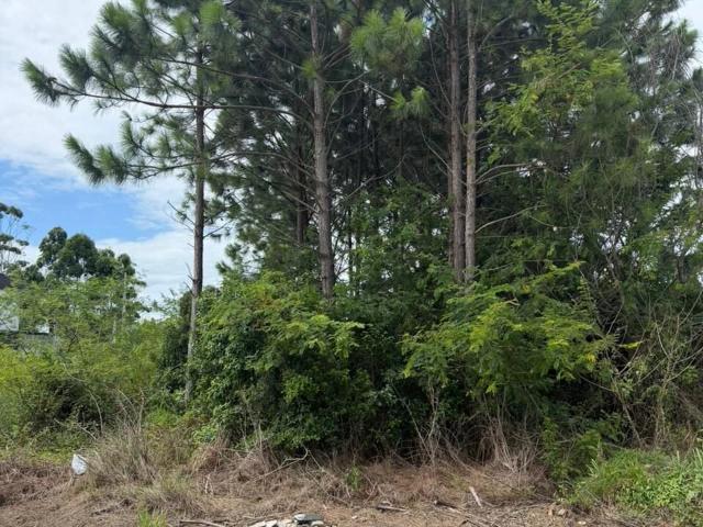 Terreno / Lote para Venda em Palhoça/SC Praia do Sonho
