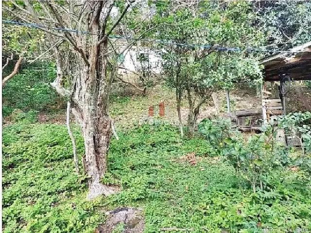 Terreno / Lote para Venda em Palhoça/SC Praia de Fora