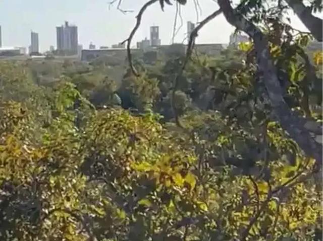 Terreno / Lote para Venda em Palmas/TO Plano Diretor Norte