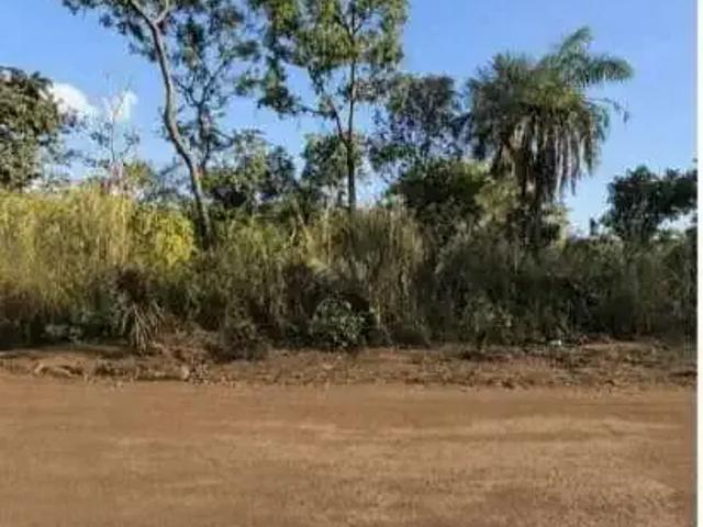 Terreno / Lote para Venda em Palmas/TO Plano Diretor Norte