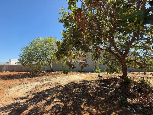 Terreno / Lote para Venda em Palmas/TO Plano Diretor Sul