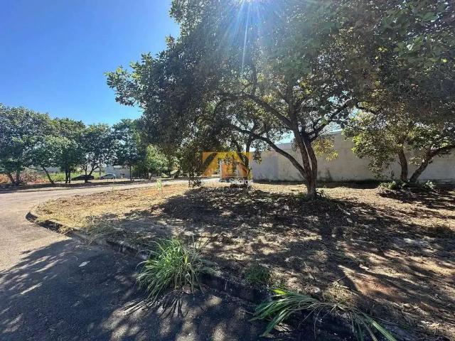 Terreno / Lote para Venda em Palmas/TO Plano Diretor Sul