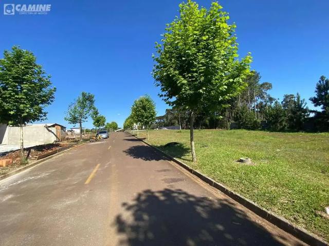 Terreno / Lote para Venda em Palmas/PR Vale dos Lagos