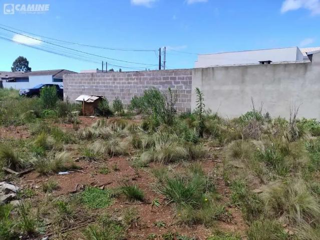 Terreno / Lote para Venda em Palmas/PR Aeroporto